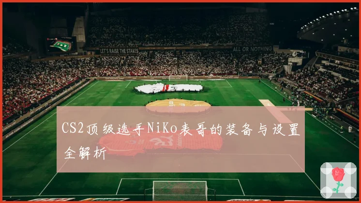 CS2顶级选手NiKo表哥的装备与设置全解析