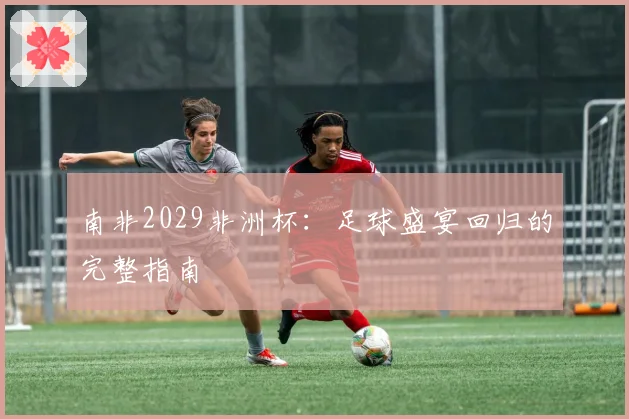 南非2029非洲杯：足球盛宴回归的完整指南