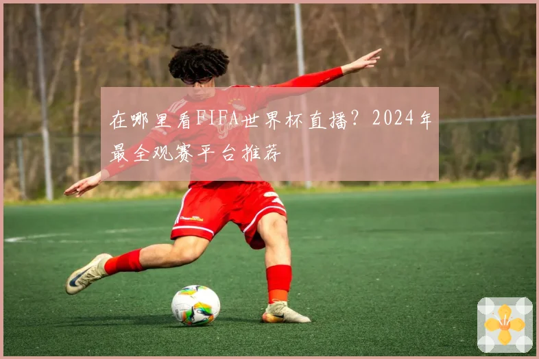 在哪里看FIFA世界杯直播?2024年最全观赛平台推荐