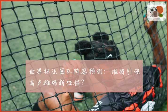 世界杯法国队阵容预测：谁将引领高卢雄鸡新征程？